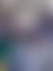 CRUZEIRO VENCE BOTAFOGO NO NILTON SANTOS E DIVIDE LIDERANÇA COM O FLAMENGO