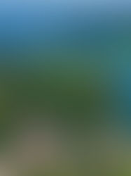 Setor turístico projeta um verão mais vibrante em Capitólio,Canastra e Lago de Furnas