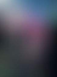 Visitas de escolas transformaram o Via Café Shopping Center em sala de aula