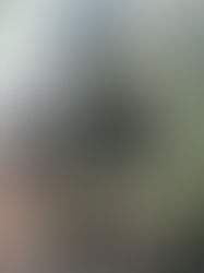 MOTORISTA DE 26 ANOS MORRE NA MG-290 EM INCONFIDENTES