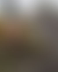 PREFETURA DE VARGINHA INFORMA OS BAIRROS COM SERVIÇOS DE LIMPEZA NESTA QUARTA