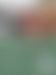 Clube de leitura Leia Mulheres promove encontro sobre o livro “Esboço em Pedra e Sonho”