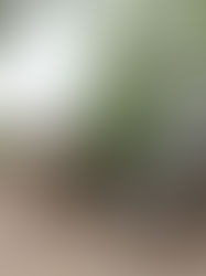 EX-PREFEITO DE BAEPENDI É CONDENADO POR IRREGULARIDADES EM LICITAÇÕES