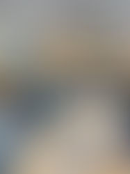 MISSÃO CUMPRIDA: COMITIVA DE VARGINHA ASSEGURA RECURSO VITAL PARA O AEROPORTO EM BRASÍLIA