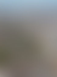 VARGINHA SE DESTACA EM RANKING NACIONAL: TOP 10 EM COMÉRCIO EXTERIOR E INDICADORES SOCIAIS