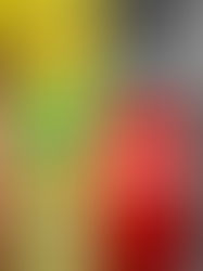 PESQUISA PARA PRESIDENTE FUTURA/APEX, APONTA DIANTEIRA DE FLÁVIO BOLSONARO 