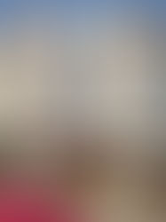 REDE IBIS CHEGA A VARGINHA COM PROJETO OUSADO PARA IMPULSIONAR POLO HOTELEIRO