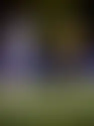 NOVORIZONTINO DESPACHA CORINTHIANS, E PAULISTÃO TERÁ RECORDE DE PÚBLICO EM SEMIFINAL ENTRE PALMEIRAS E SÃO PAULO