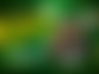 ST. PATRICK’S FESTIVAL ACONTECE NESTE SÁBADO EM VARGINHA COM MUITA MÚSICA E CHOPP VERDE. 