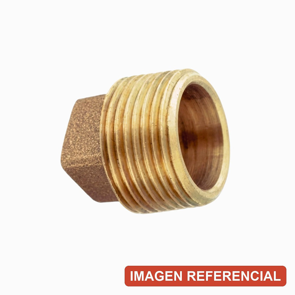 Tapón Macho He 2 1/2" Bronce en stock: 48 unidades (imagen referencial)