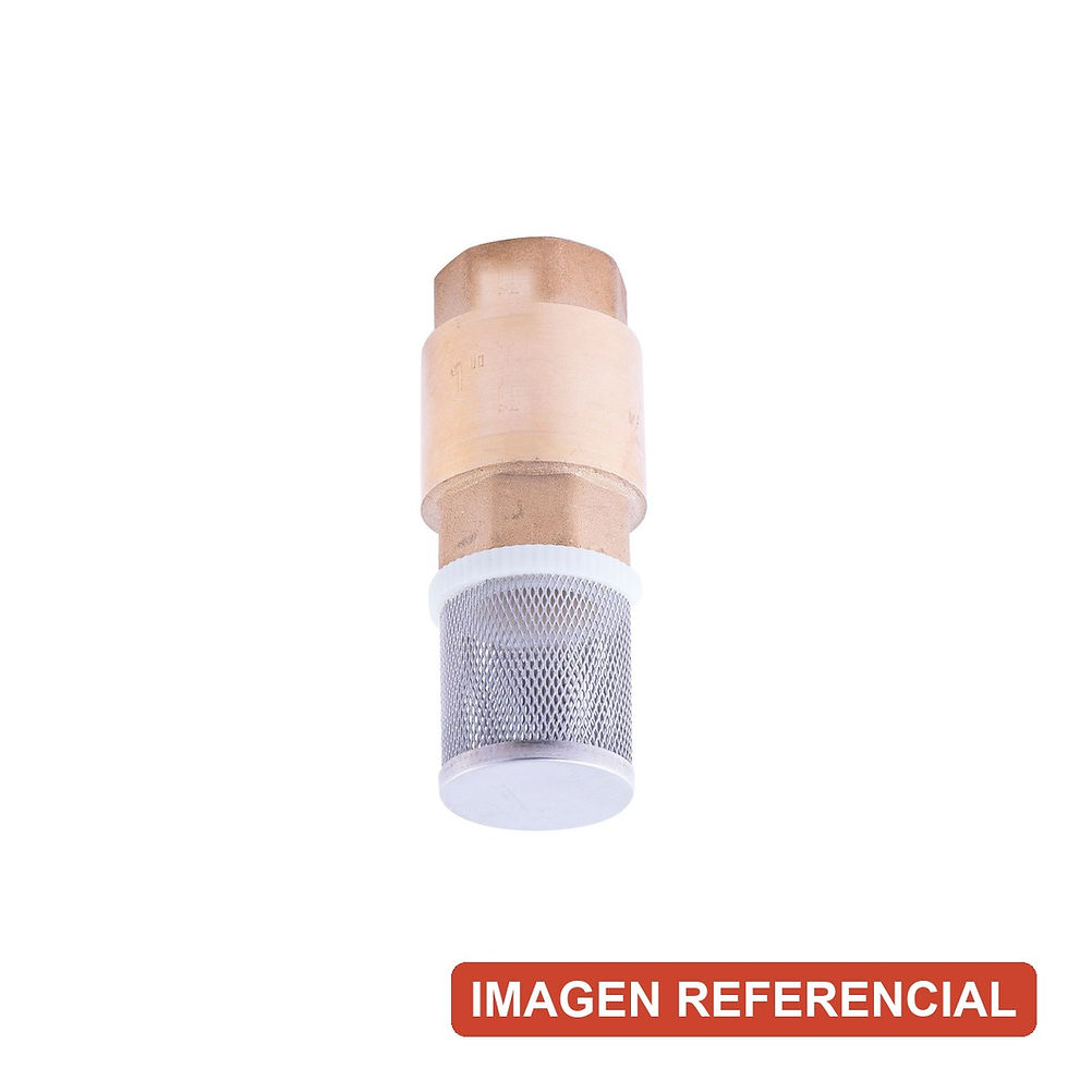 Válvula de Pie con Filtro de Acero Inoxidable 1 1/4" (Fondo con Filtro) en stock: 250 unidades (imagen referencial)