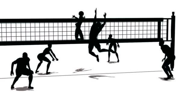 Volleyboll med Svenska.fi