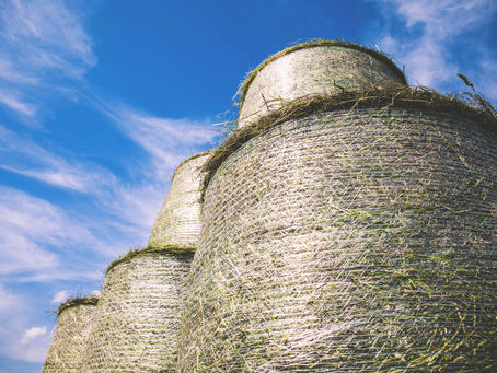 Hay Bales and Heaven's Treasures