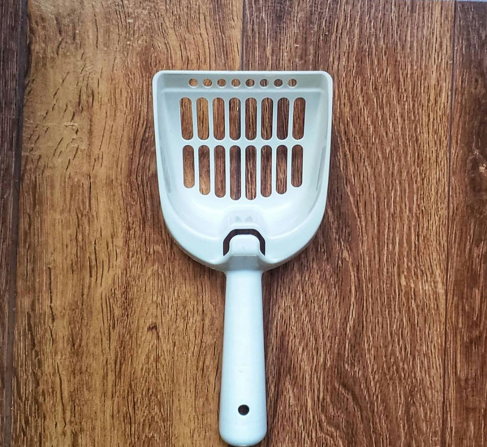 Miniatura: Arenero Marron cerrado con orejas 🐱