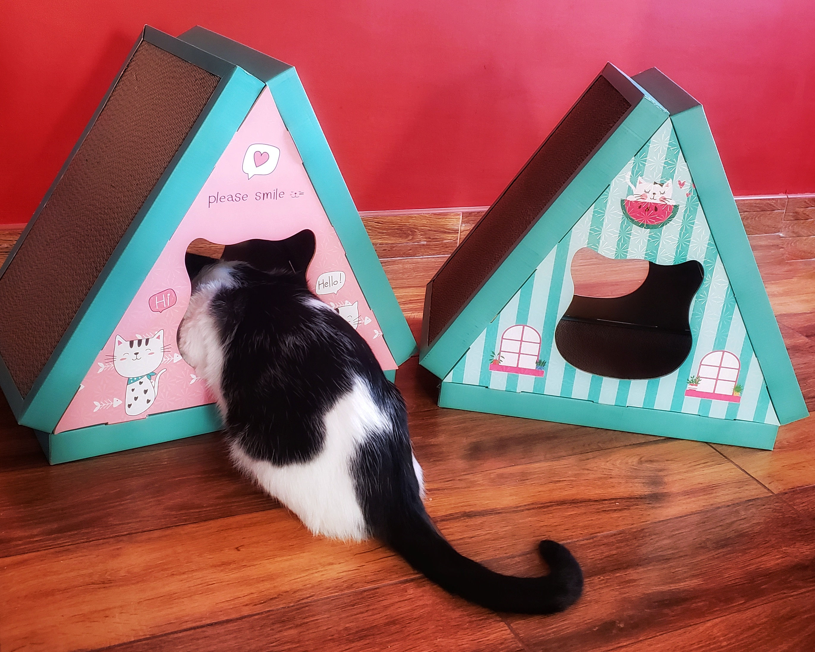 Rascador para gato - Casita 