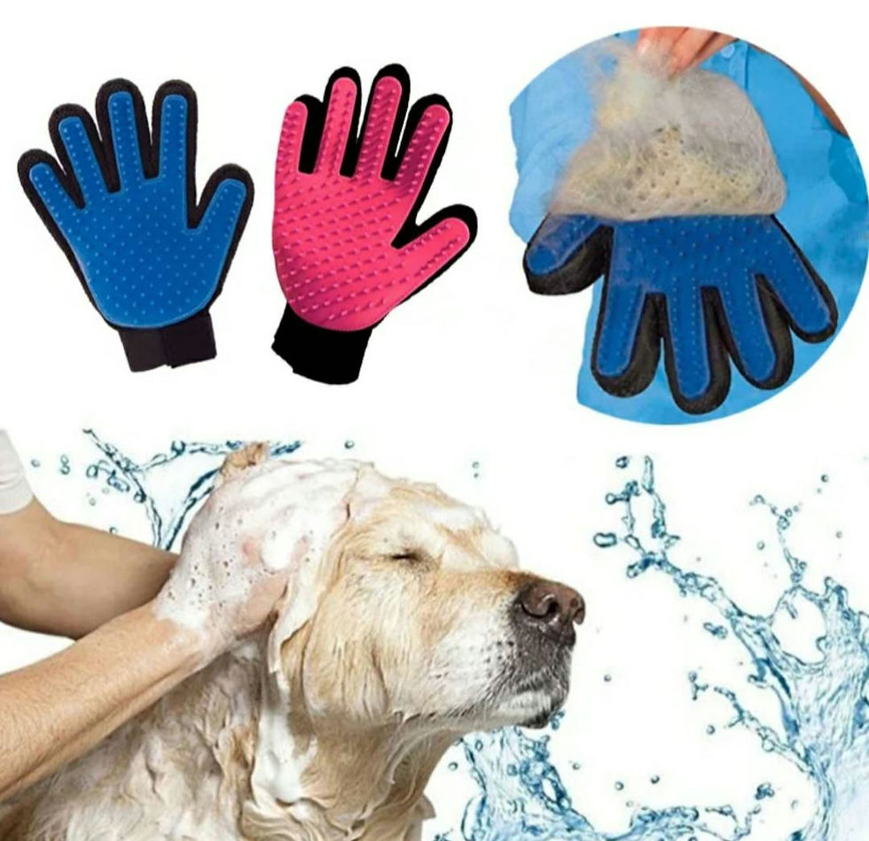 Miniatura: Guantes para aseo de mascotas
