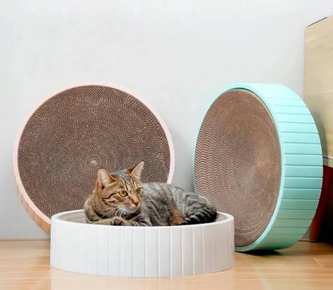 Rascador circular 🐱