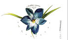 Hispanic flowers postcard 2.PNG