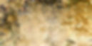 PLA_1465.jpg