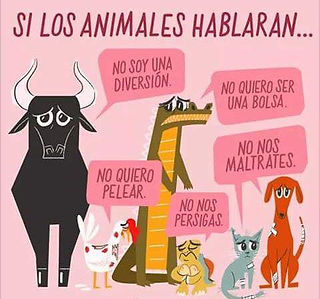 animals