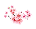 branch3_edited.png