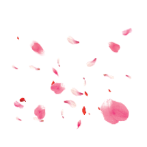 sakura leaves again_edited.png