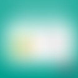 2021 Net Worth update