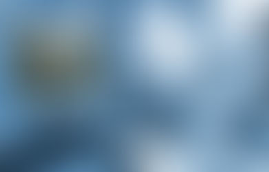 Technology Company: Media by Wix