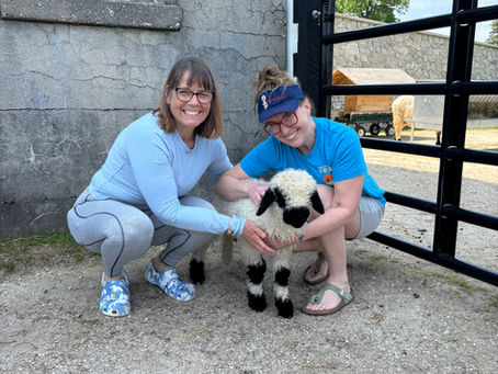 Yogis with a little lamb