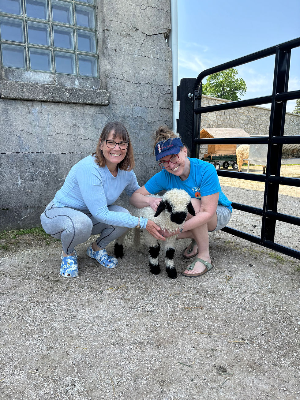 Yogis with a little lamb