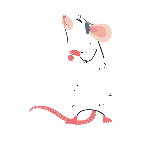 rato-em-pe-branco_edited.png