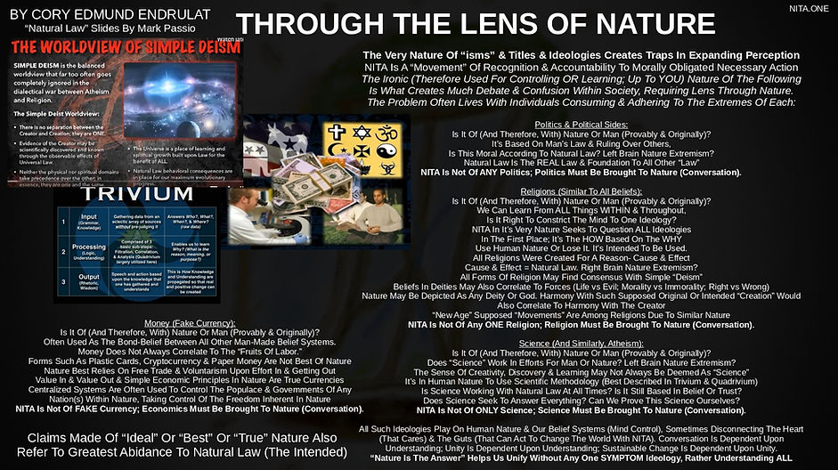 NITANL1_page-0008.jpg