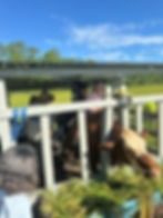 541672690_122129058500899248_5751982950167575985_n