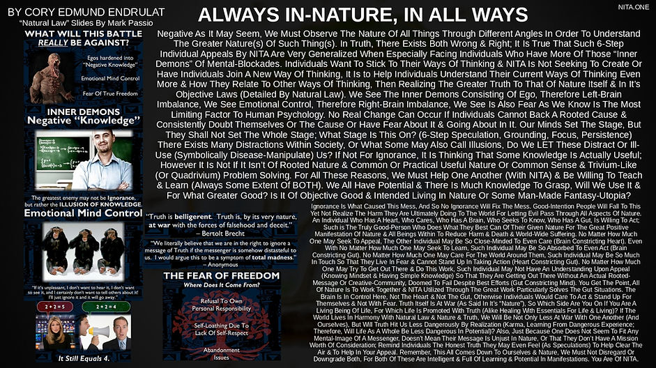 NITANL1_page-0044.jpg