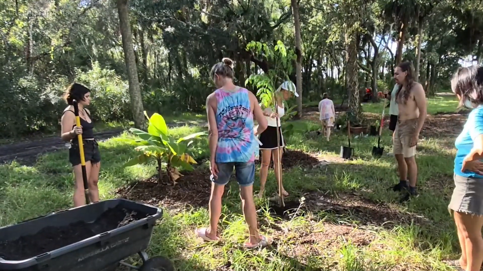 Wow! Baby Drives Tractor to Help Build Our Food Forest 1-32 screenshot
