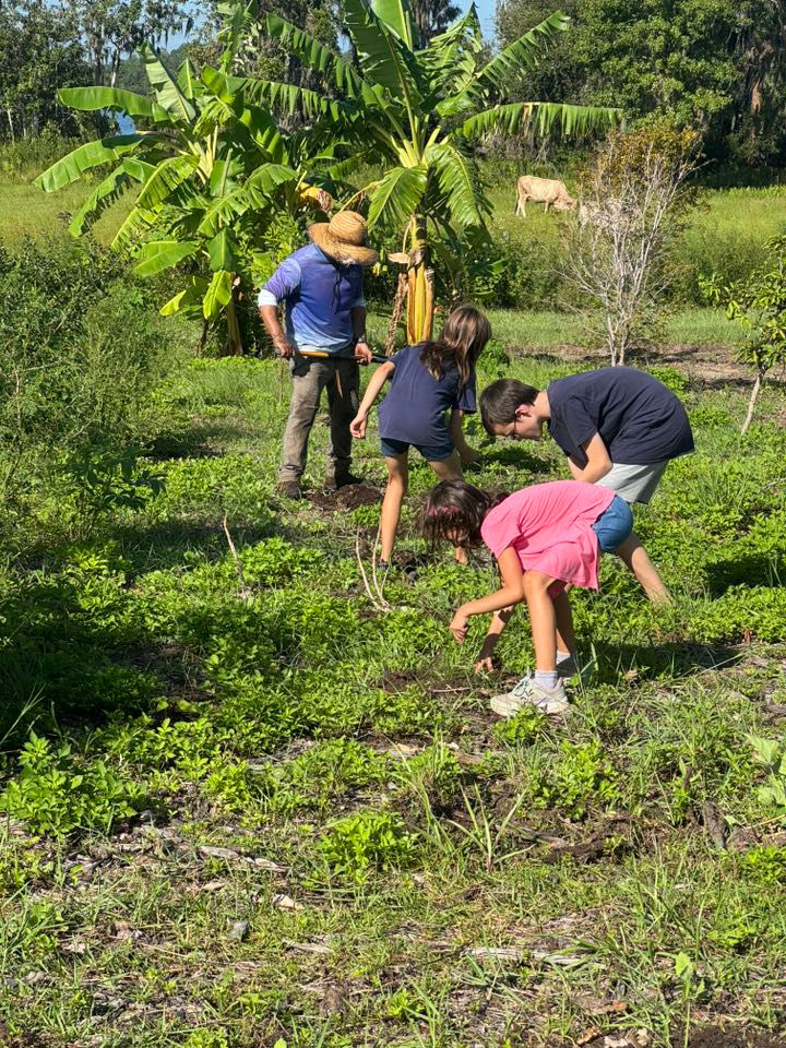 515438868_122129056652899248_3109022715744202639_n