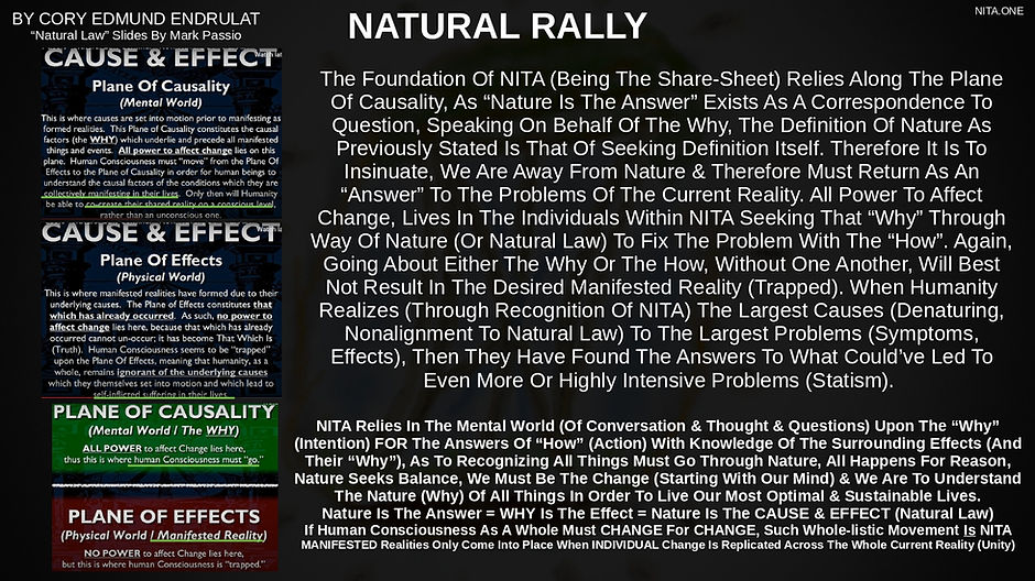 NITANL1_page-0022.jpg
