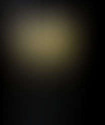 ALCOOL POUR MINCIR, LEQUEL?