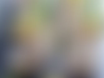 TARTARE DE THON AU RADIS NOIR