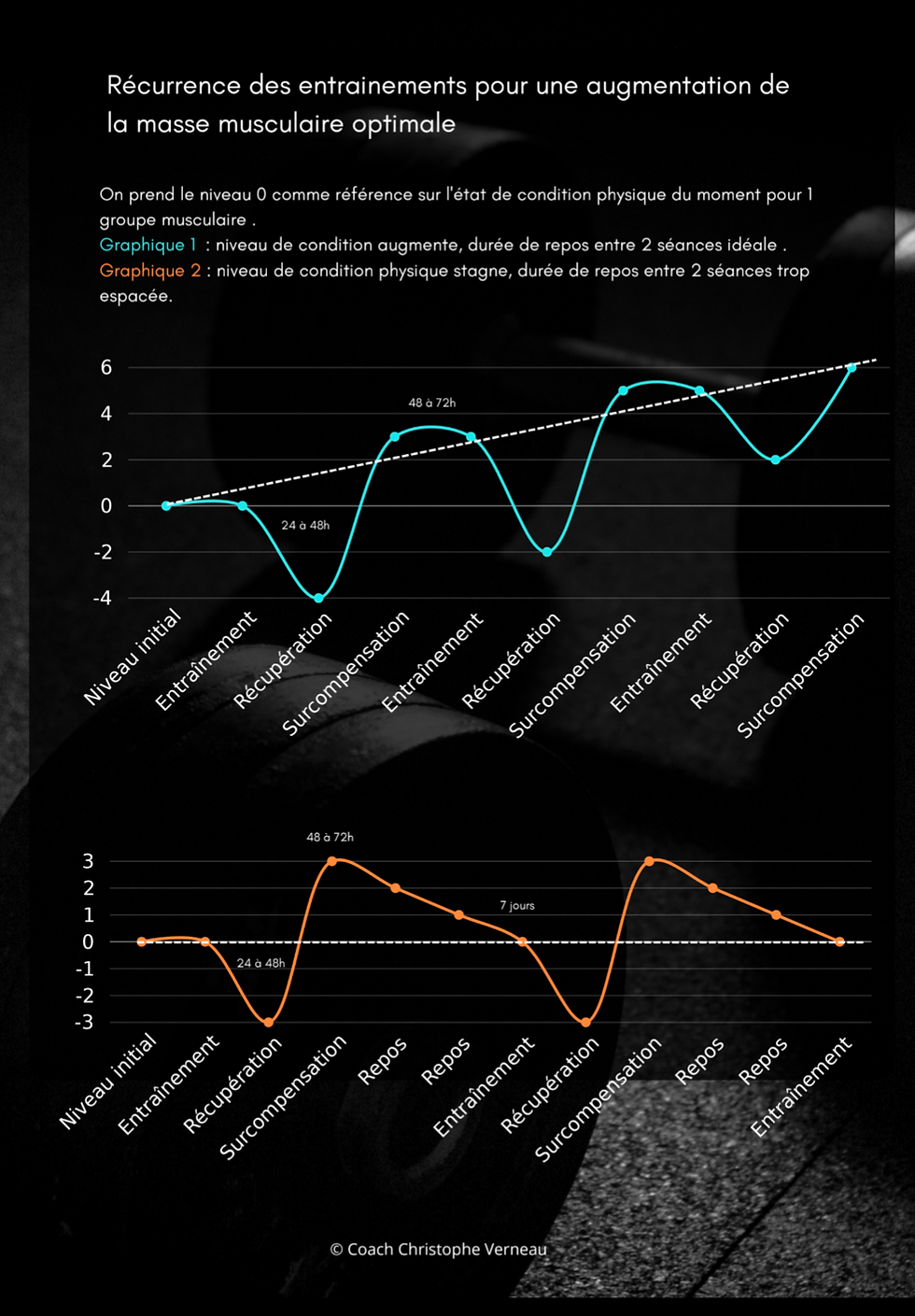 Miniature : Combien de jours de repos entre chaque séance pour prendre du muscle