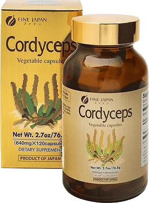 Cordyceps-image-home.webp
