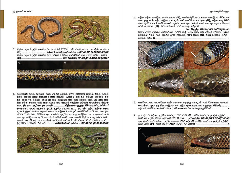 Thumbnail: Snakes of Sri Lanka (Sinhala language) - 2nd Edition