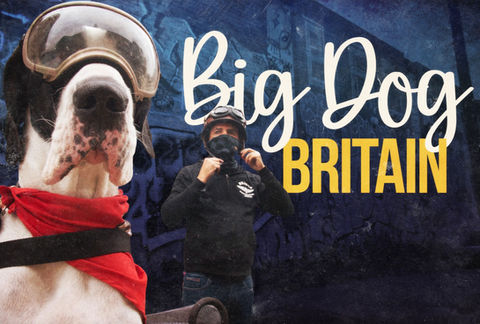 BDB Logo_edited.jpg