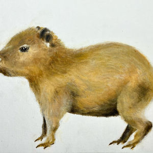 Capybara-Gemälde: Ein niedliches Capybara in Pastellfarben