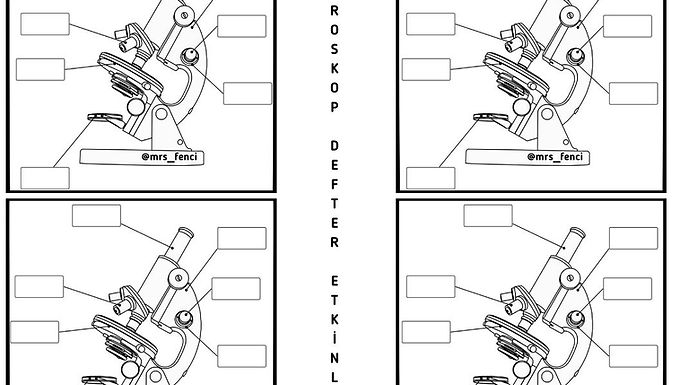 Mikroskop defter etkinliği