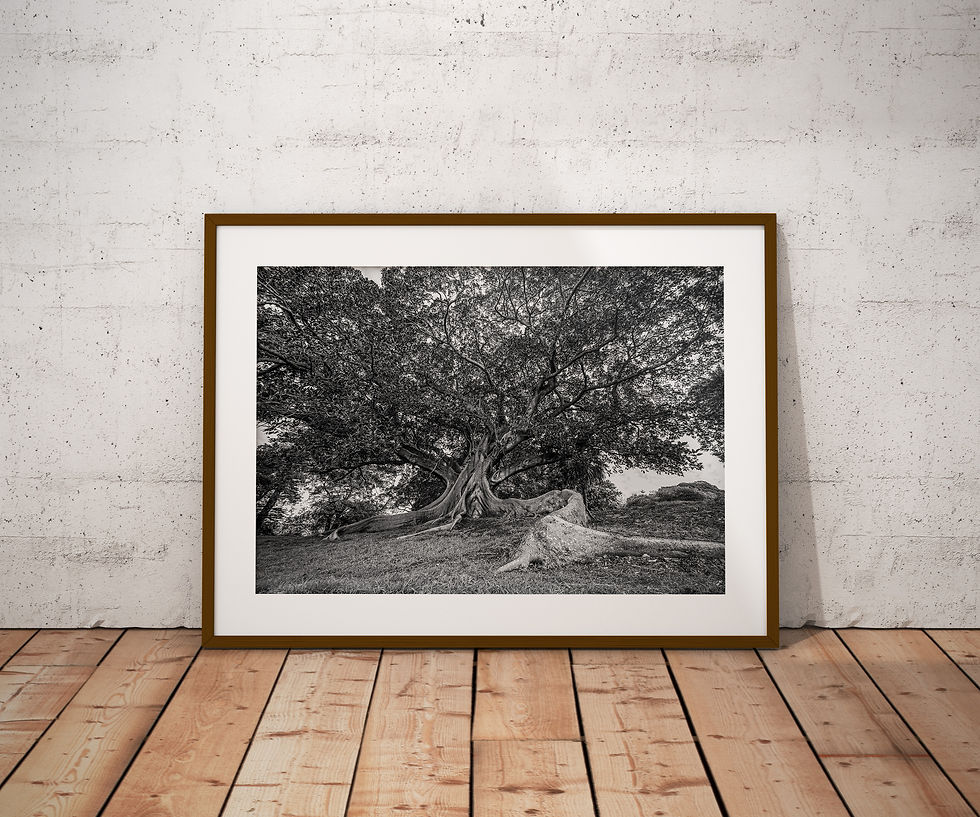 Thumbnail: Tree of Life