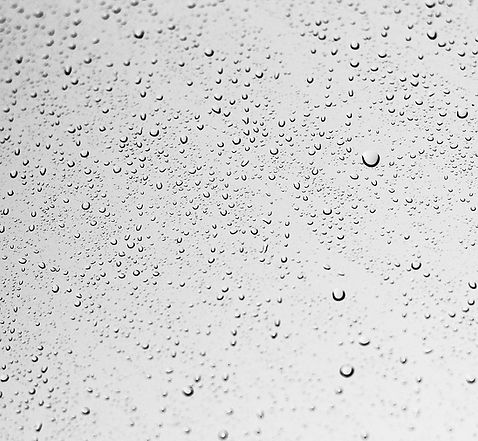 window-354617_1280.jpg