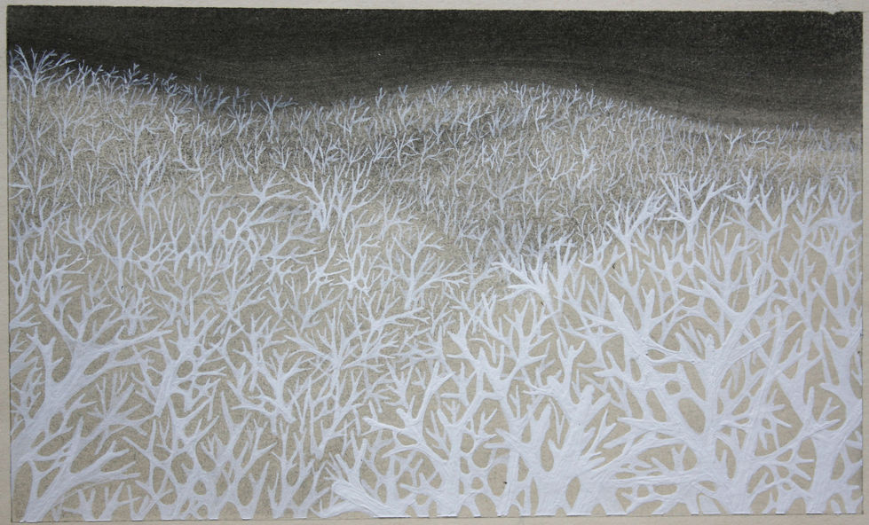 1DoodKoraal