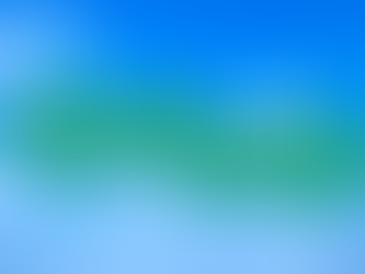 CHOICES TO CHOOSE A BUSINESS ENTITY