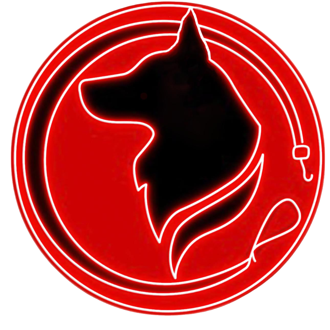 Long Sleeve Dry Fit Shirts